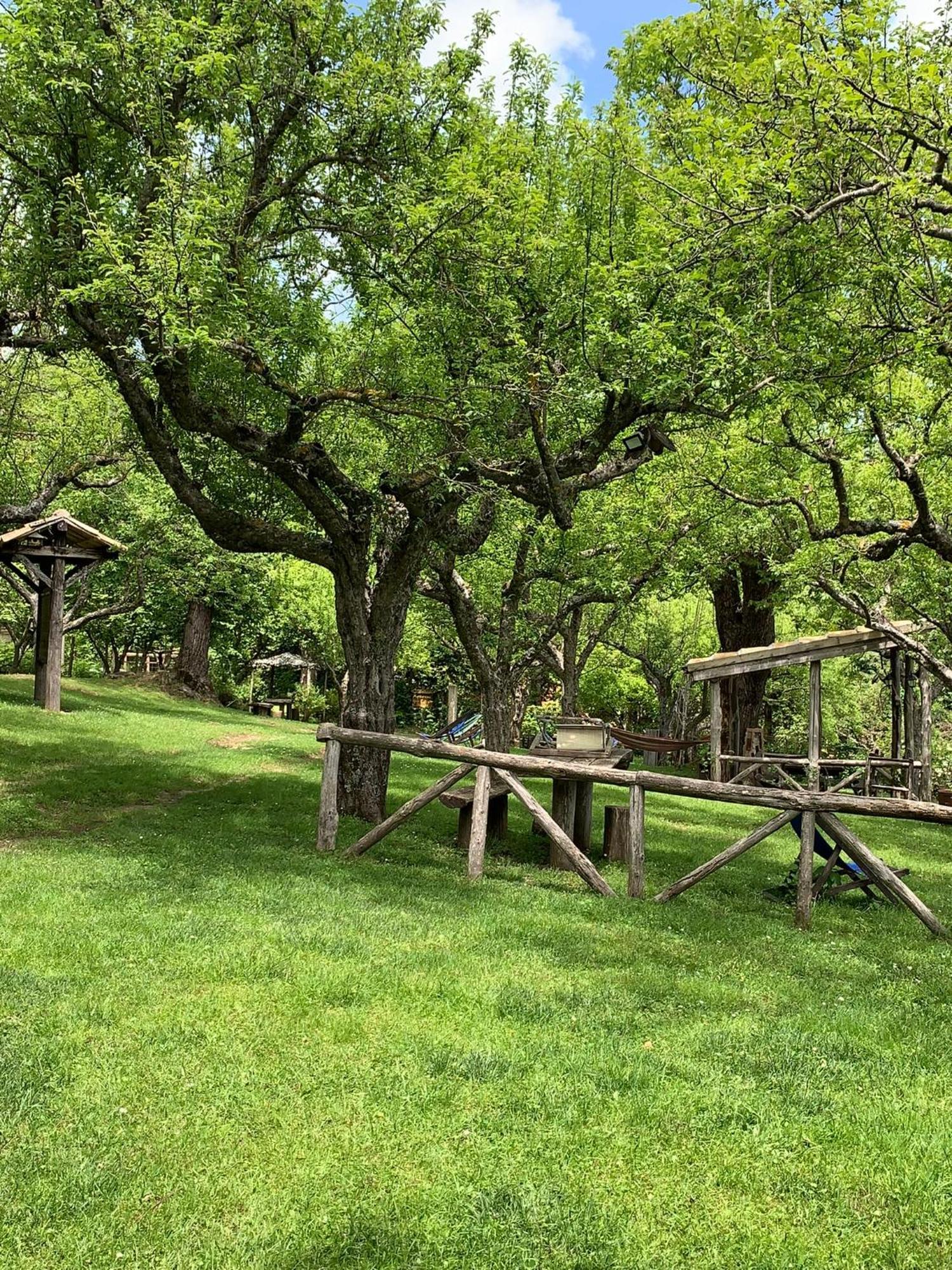 Agriturismo Carrozzino Sersale Ngoại thất bức ảnh