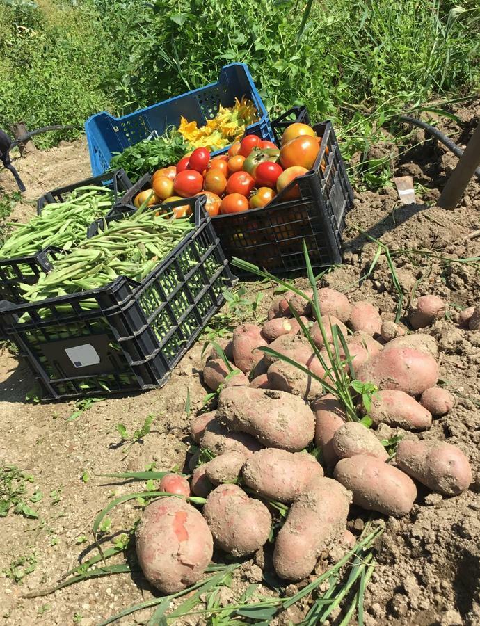 Agriturismo Carrozzino Sersale Ngoại thất bức ảnh